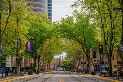 sacramento the city of trees|Iba pa.
